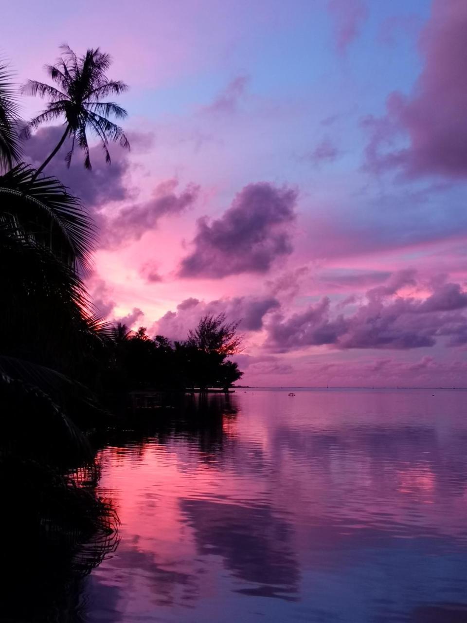 Lagoon Dream Moorea Eksteriør bilde