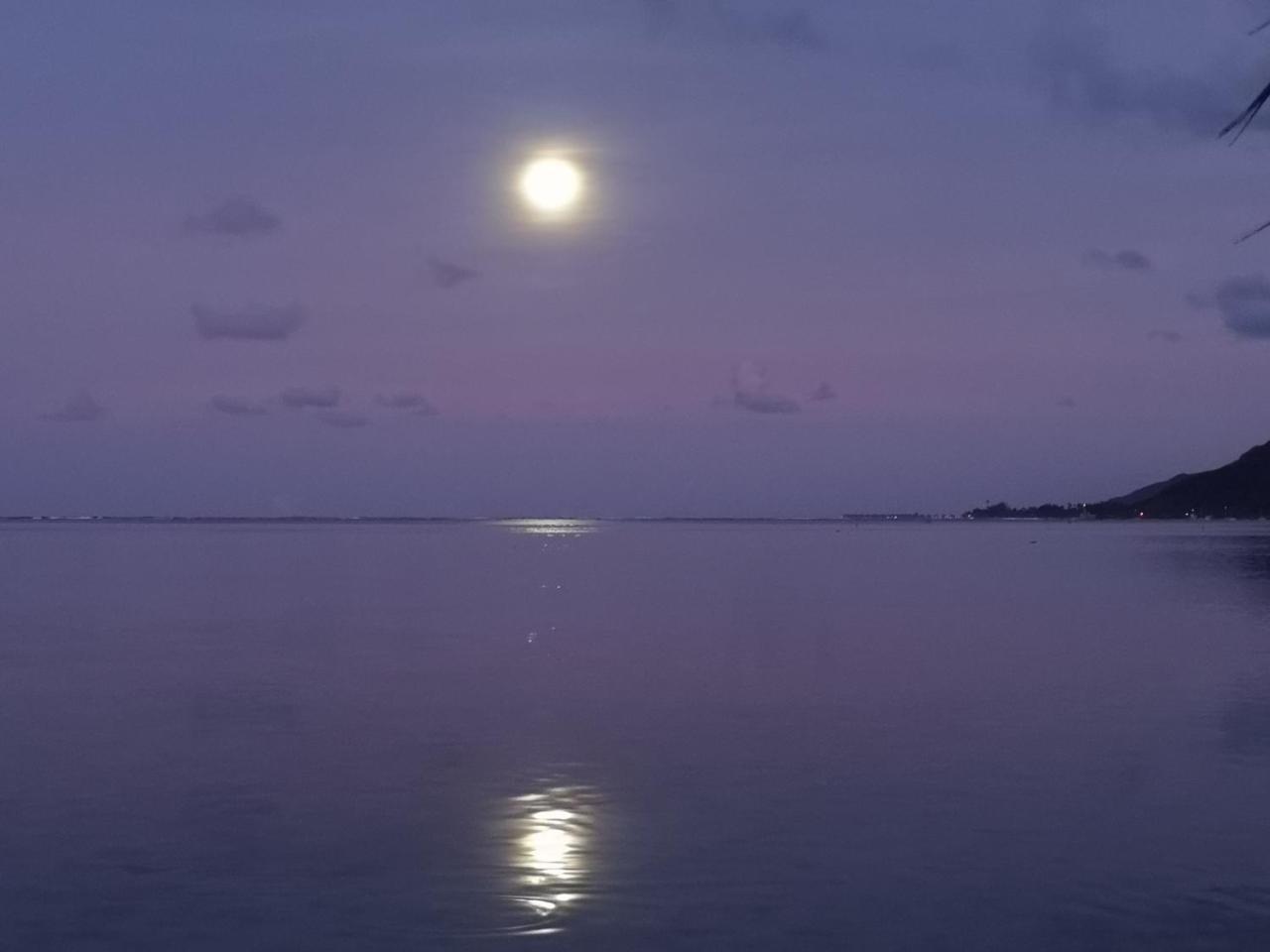 Lagoon Dream Moorea Eksteriør bilde